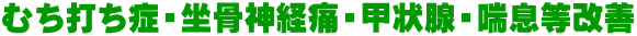 むち打ち症・坐骨神経痛・甲状腺・喘息等改善 